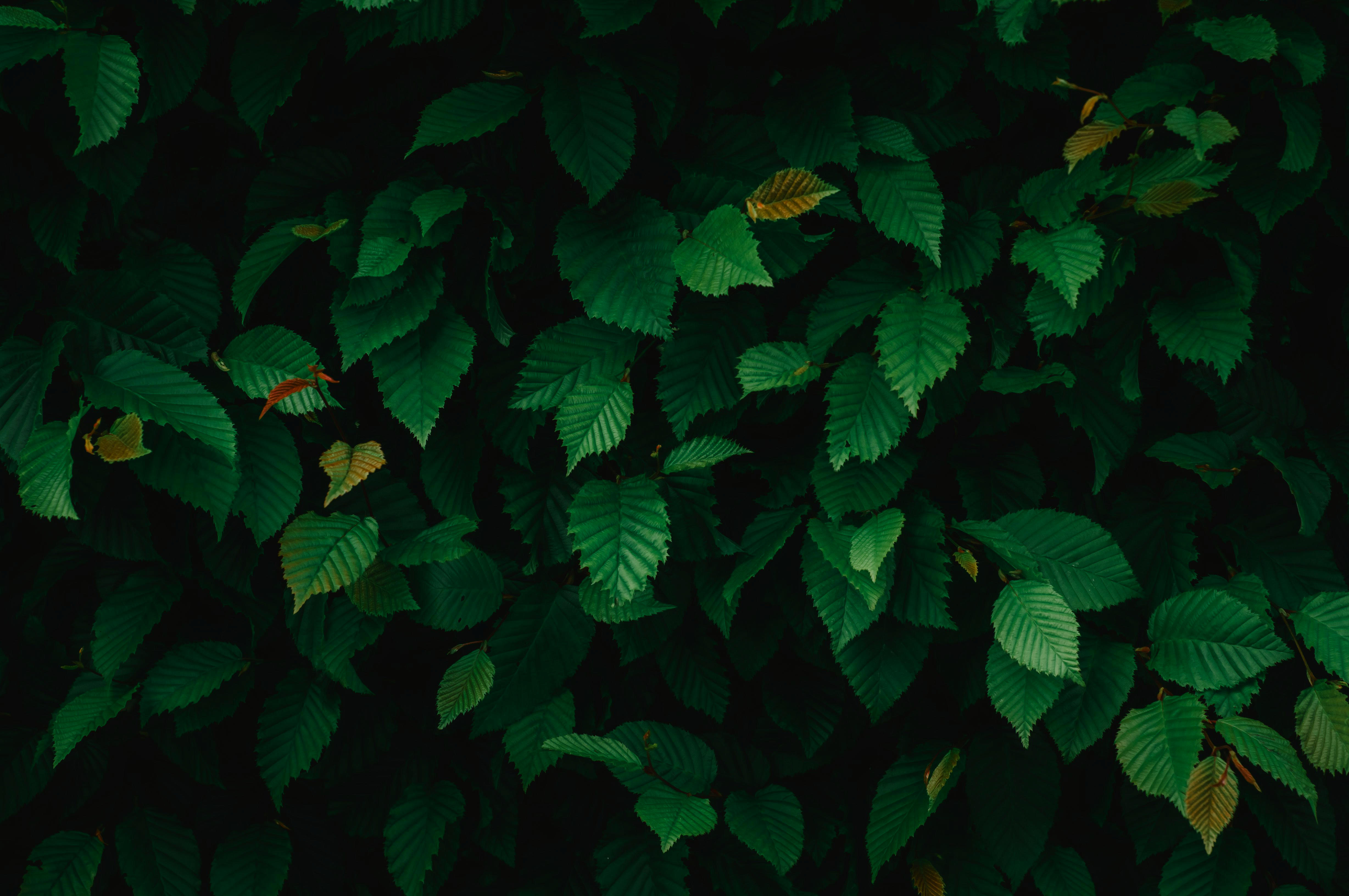 Abstrakte Server-Collage Hintergrundbild